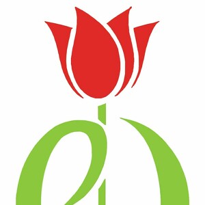 Dale and Pat Reynolds, Mike and Polly Craddock and Lauren Choate